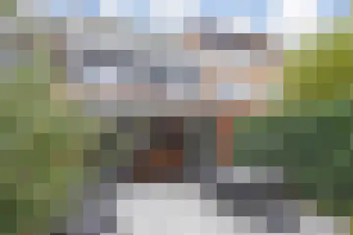 Witmolen 27 Delfgauw thumbnail 25