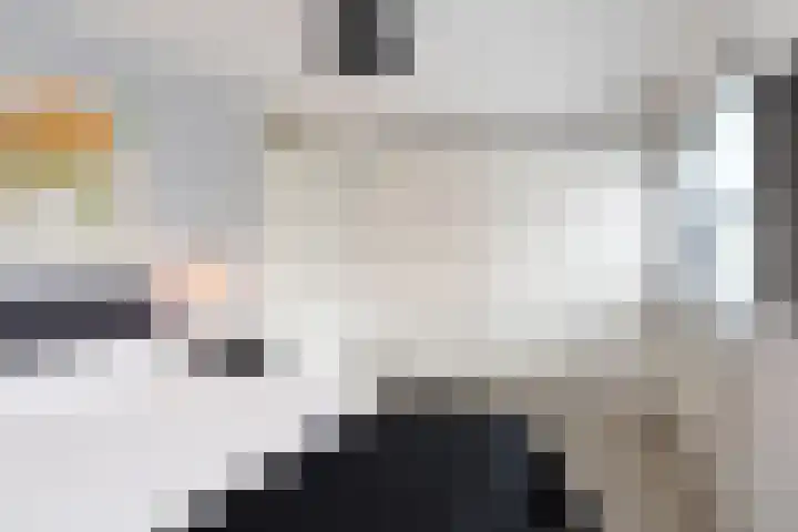 Witmolen 27 Delfgauw thumbnail 37