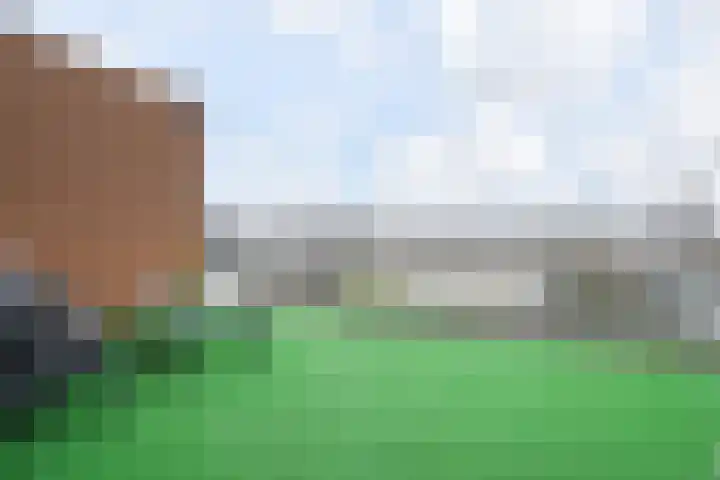 Witmolen 27 Delfgauw thumbnail 52