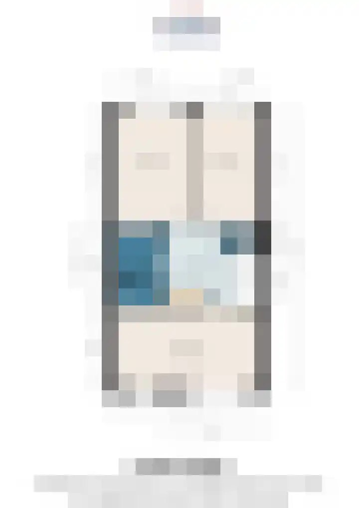Witmolen 27 Delfgauw thumbnail 61