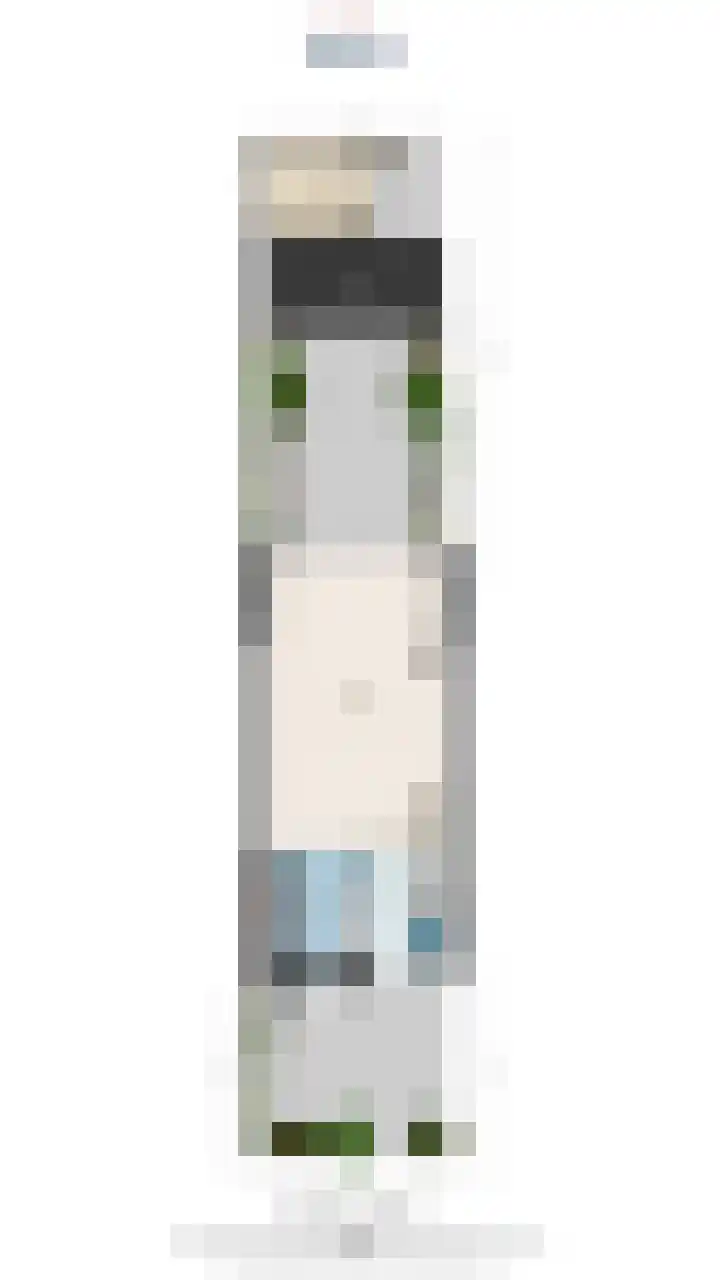 Witmolen 27 Delfgauw thumbnail 67