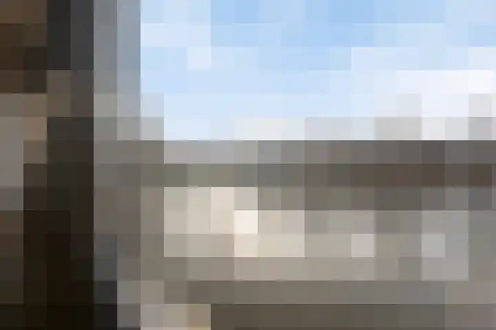 Witmolen 49 Delfgauw thumbnail 18