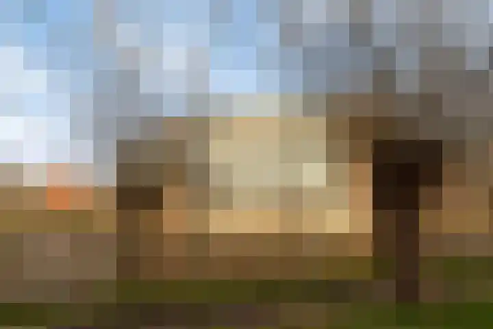 Witmolen 49 Delfgauw thumbnail 20
