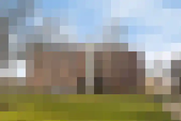 Witmolen 49 Delfgauw thumbnail 21