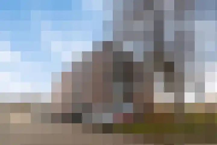 Witmolen 49 Delfgauw thumbnail 22