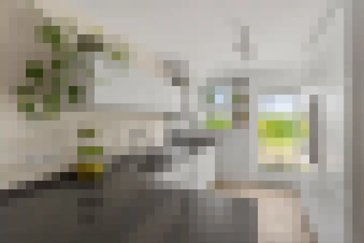 Witmos 12 Houten thumbnail 6