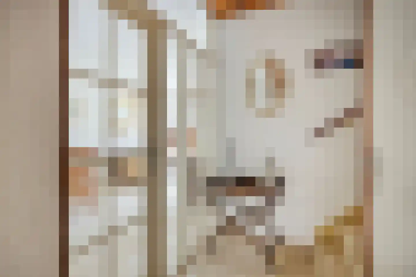 Witmos 12 Nieuwerkerk aan den IJssel thumbnail 14
