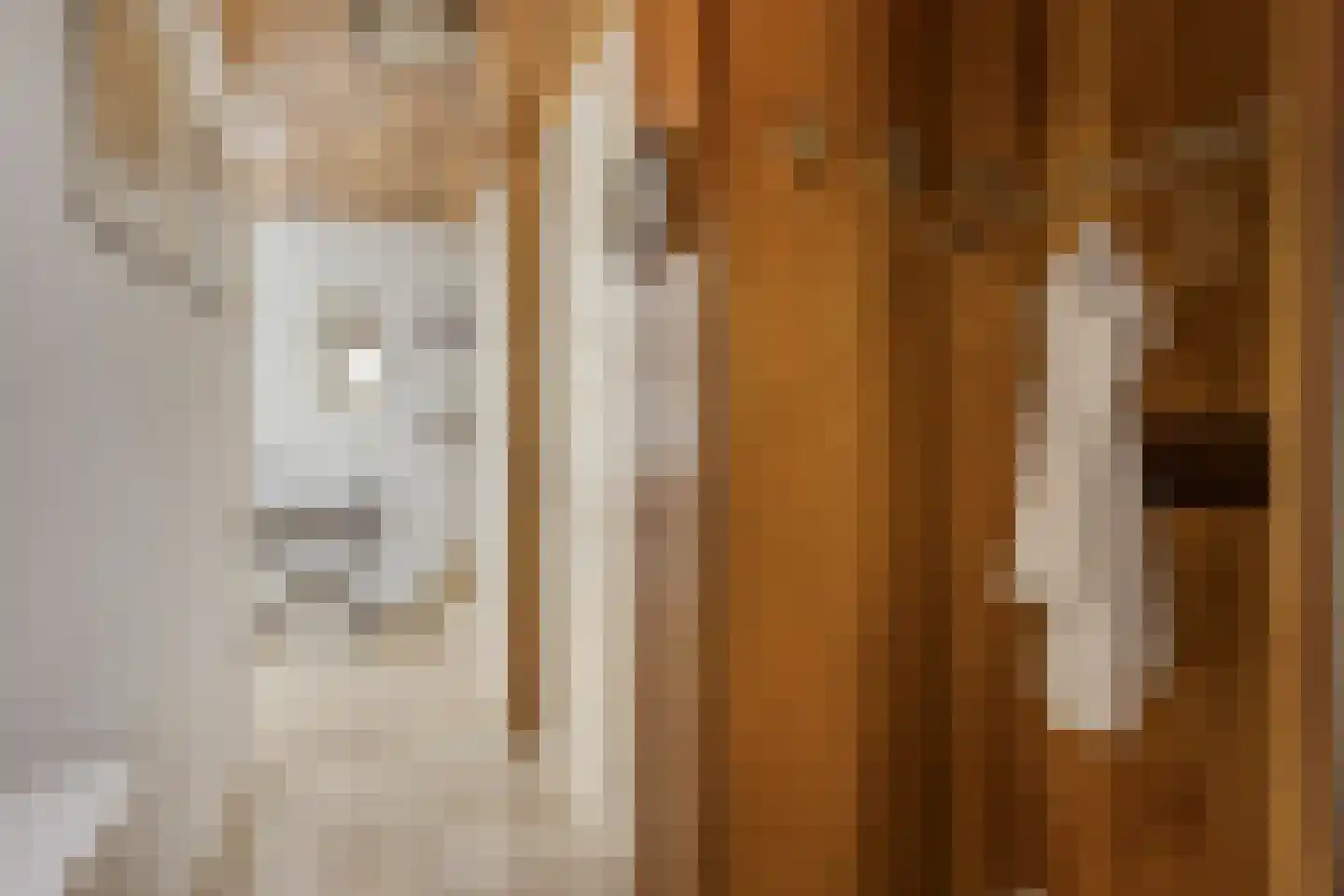 Witmos 12 Nieuwerkerk aan den IJssel thumbnail 15