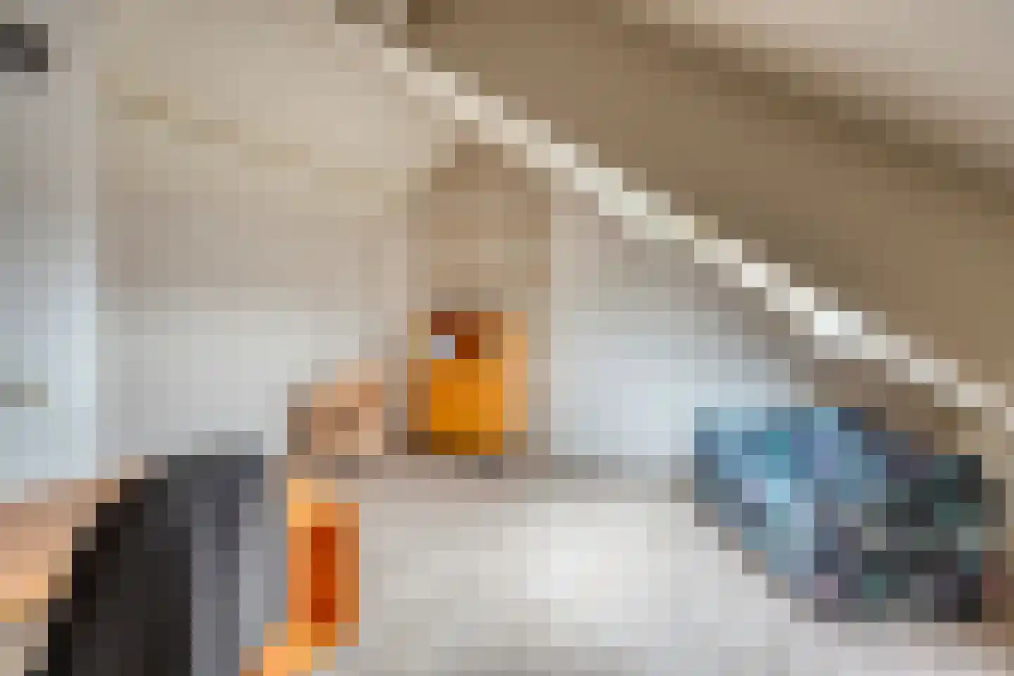 Witmos 12 Nieuwerkerk aan den IJssel thumbnail 26