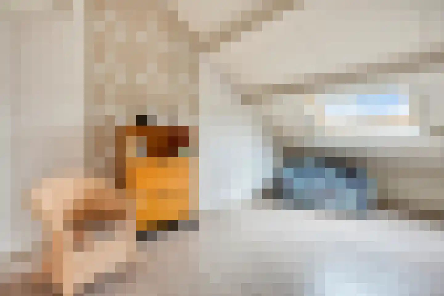 Witmos 12 Nieuwerkerk aan den IJssel thumbnail 27