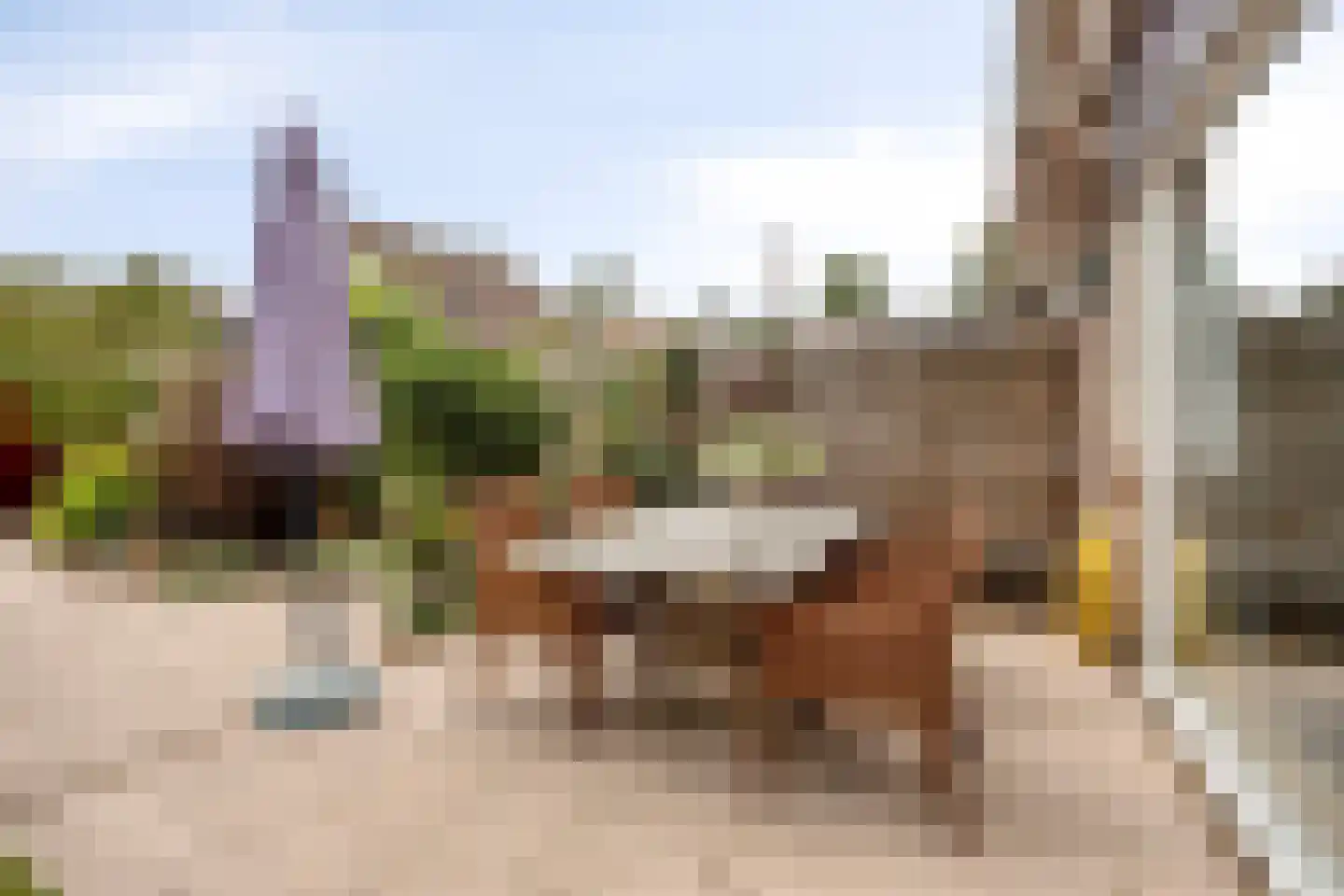 Witmos 12 Nieuwerkerk aan den IJssel thumbnail 28
