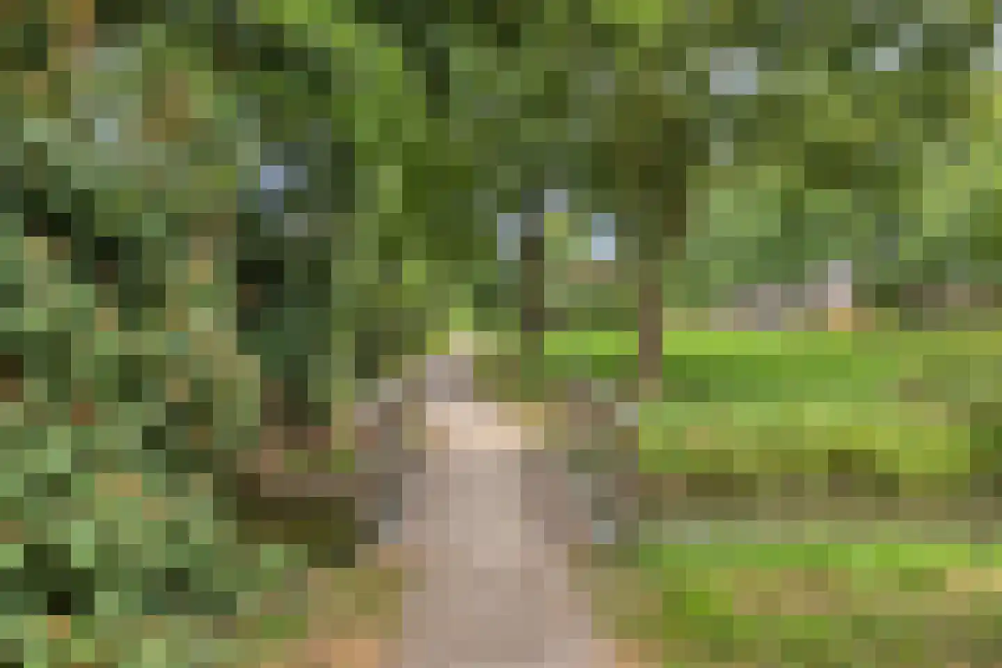 Witmos 12 Nieuwerkerk aan den IJssel thumbnail 31