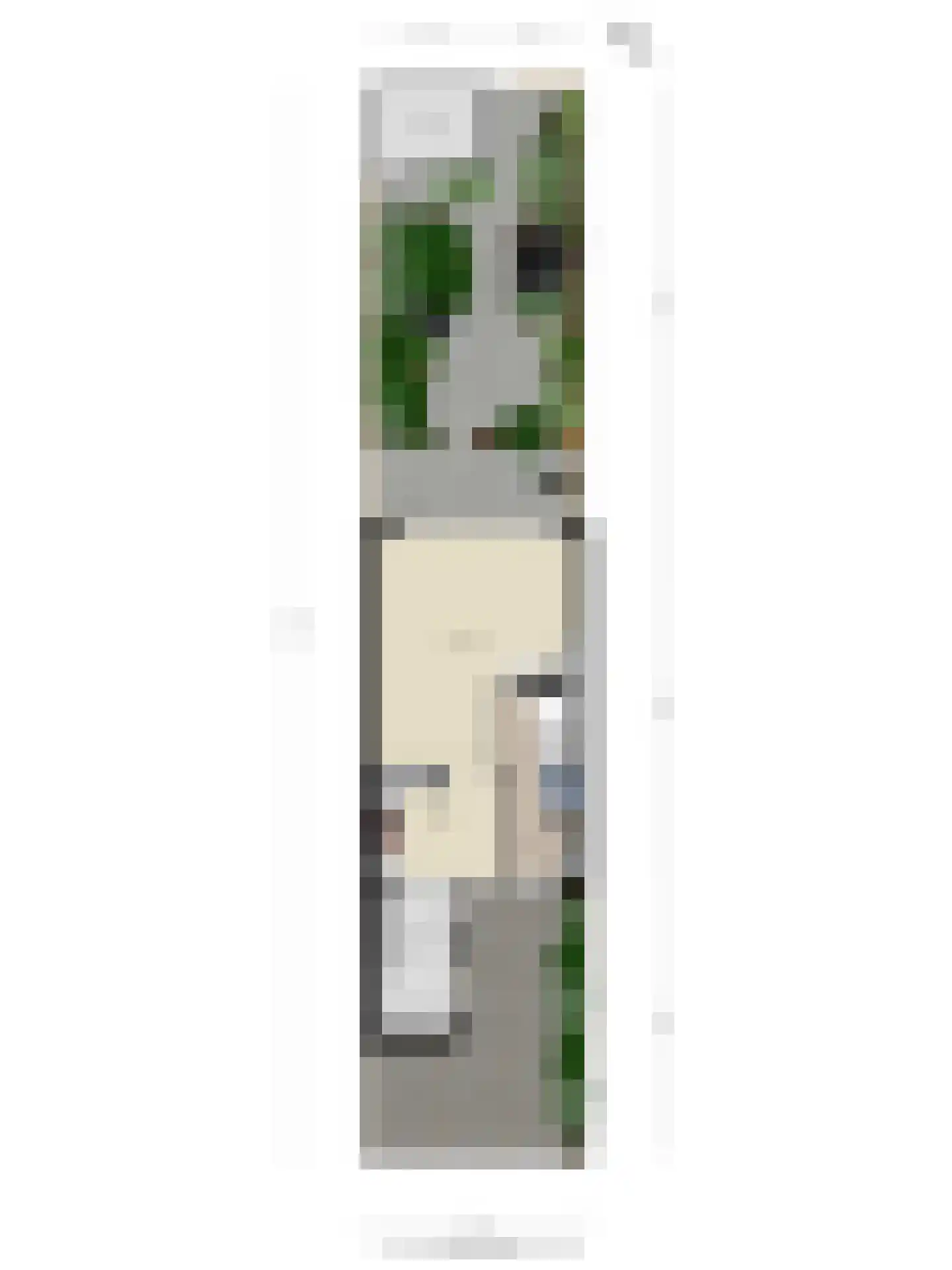 Witmos 12 Nieuwerkerk aan den IJssel thumbnail 36