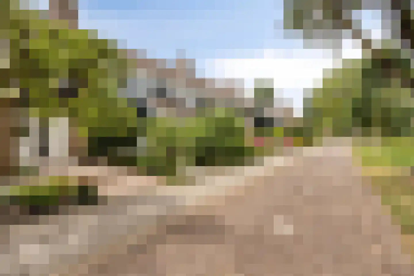 Witmos 12 Nieuwerkerk aan den IJssel thumbnail 4