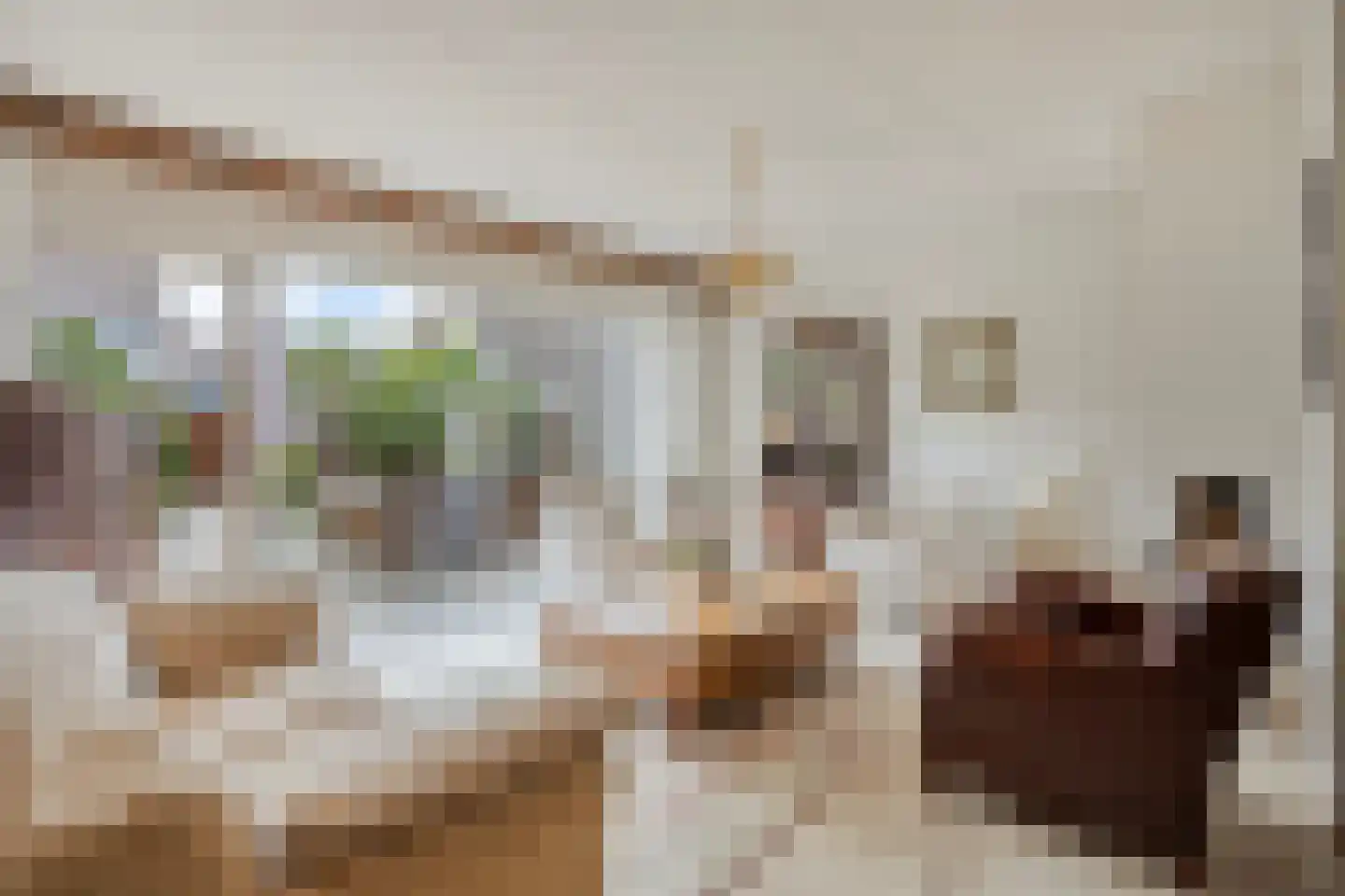 Witmos 12 Nieuwerkerk aan den IJssel thumbnail 5