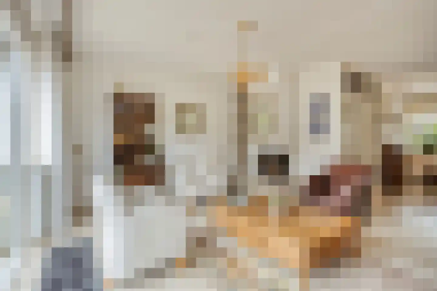 Witmos 12 Nieuwerkerk aan den IJssel thumbnail 6