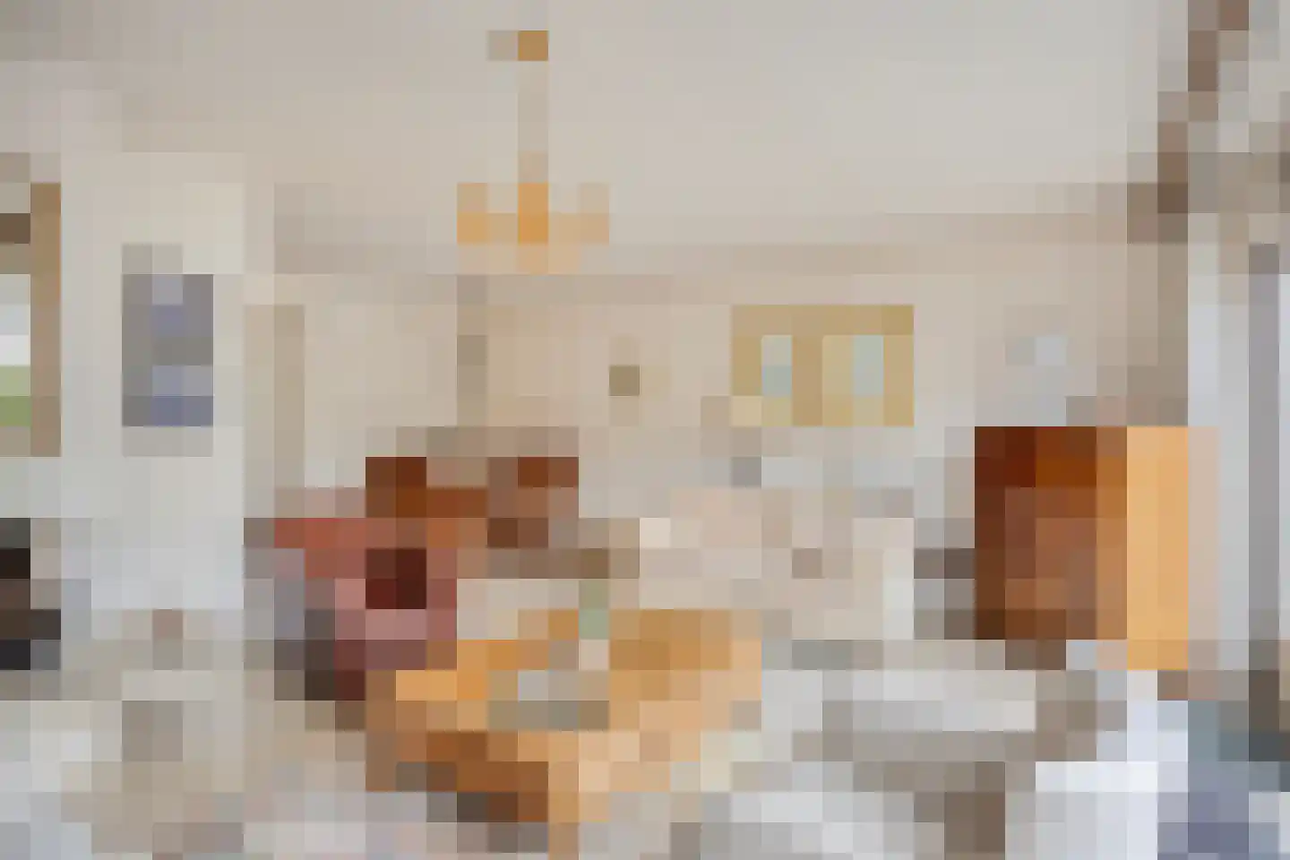 Witmos 12 Nieuwerkerk aan den IJssel thumbnail 7