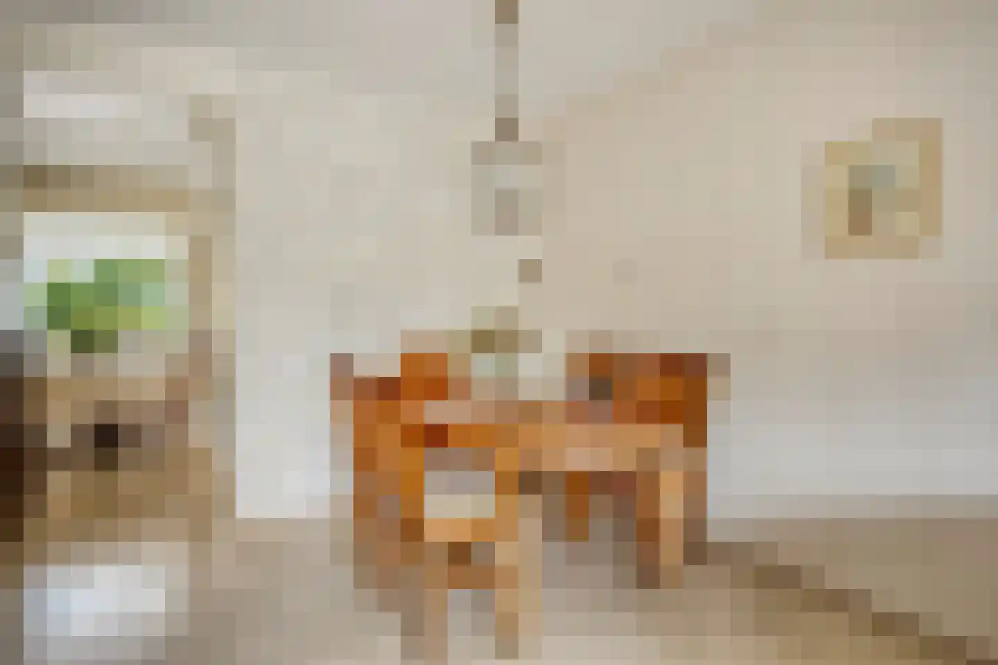 Witmos 12 Nieuwerkerk aan den IJssel thumbnail 8