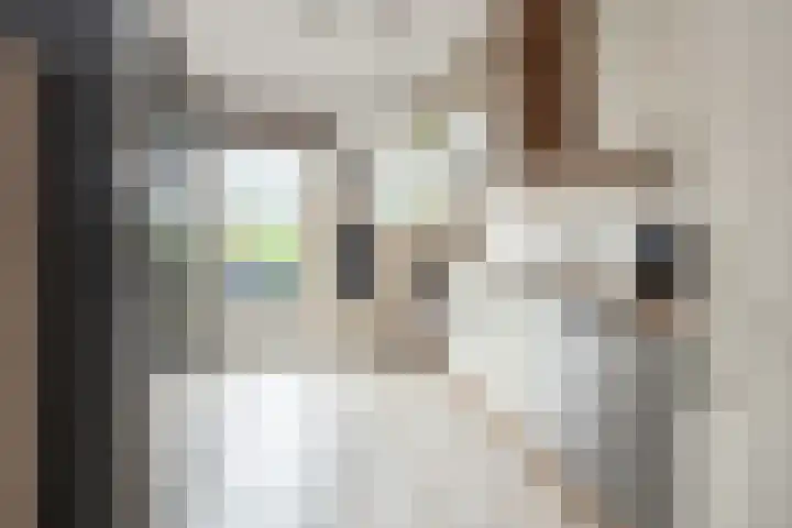 Witmos 14 Houten thumbnail 15