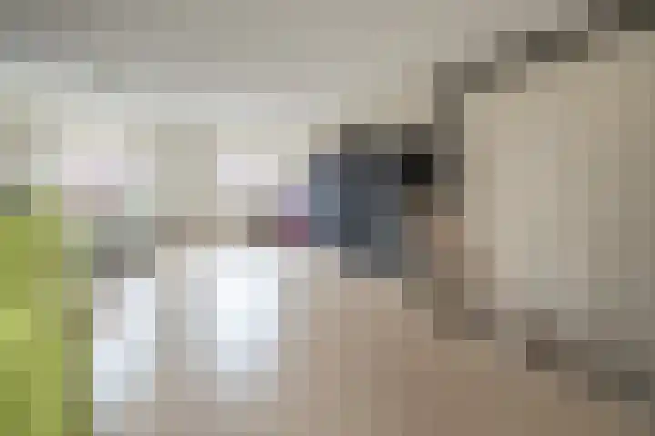 Witmos 14 Houten thumbnail 32