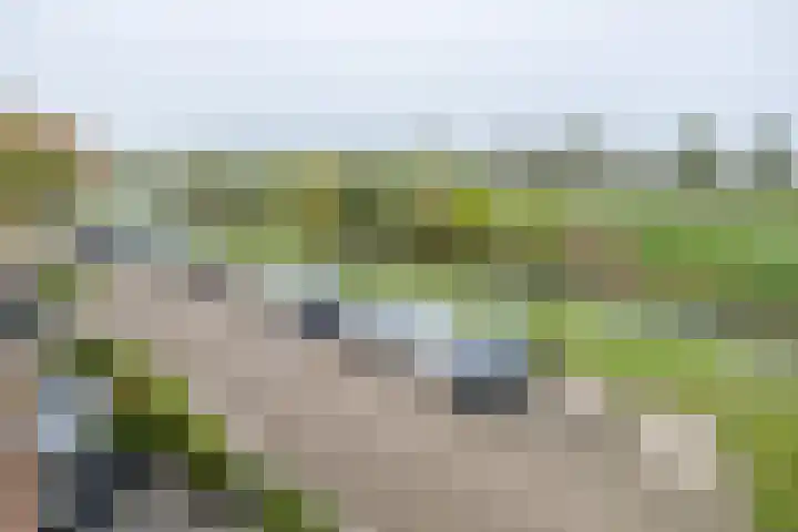 Witmos 14 Houten thumbnail 4