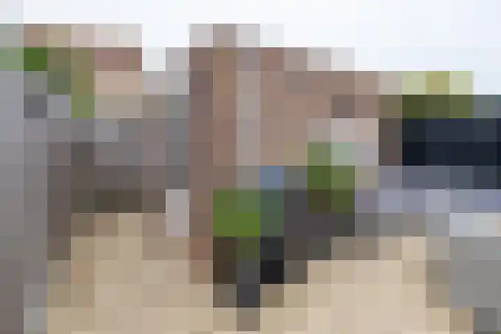 Witmos 14 Houten thumbnail 40