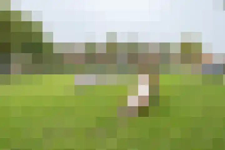 Witmos 14 Houten thumbnail 43