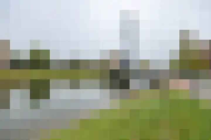 Witmos 14 Houten thumbnail 44