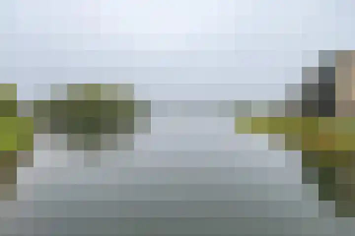Witmos 14 Houten thumbnail 45