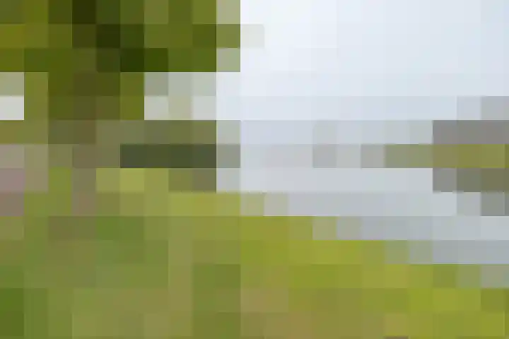 Witmos 14 Houten thumbnail 46