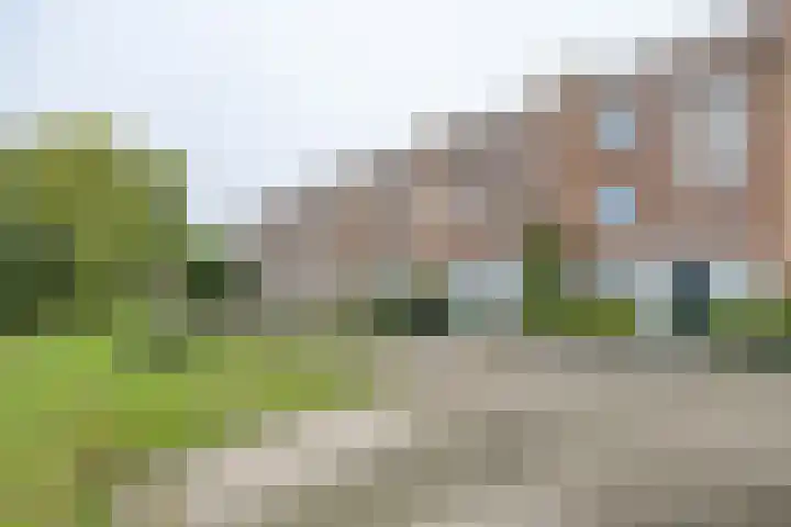 Witmos 14 Houten thumbnail 5