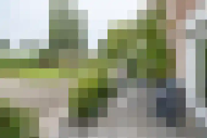 Witmos 14 Houten thumbnail 6
