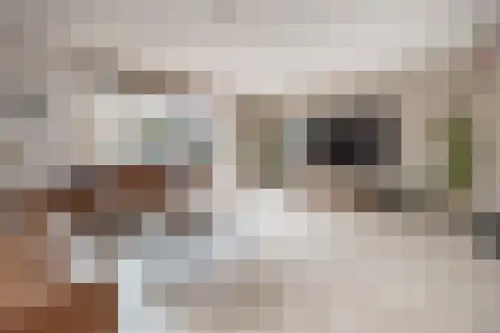 Witmos 14 Houten thumbnail 9