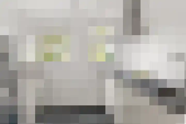 Witmos 2 Houten thumbnail 16