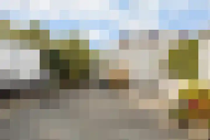 Witmos 2 Houten thumbnail 17