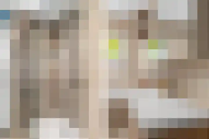 Witmos 2 Houten thumbnail 28