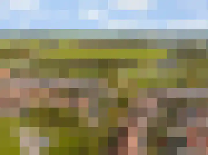 Witmos 2 Houten thumbnail 32