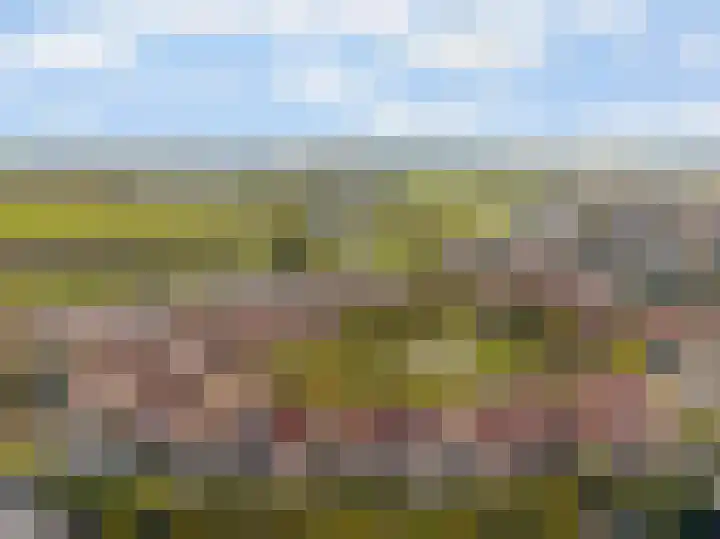 Witmos 2 Houten thumbnail 34