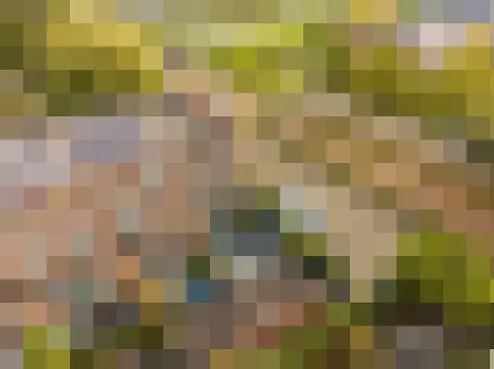 Witmos 2 Houten thumbnail 36
