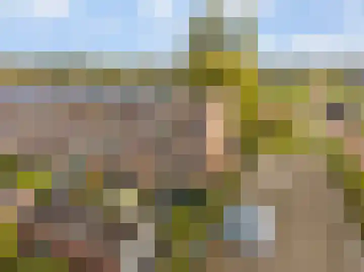 Witmos 2 Houten thumbnail 37