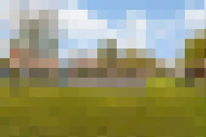 Witmos 2 Houten thumbnail 39