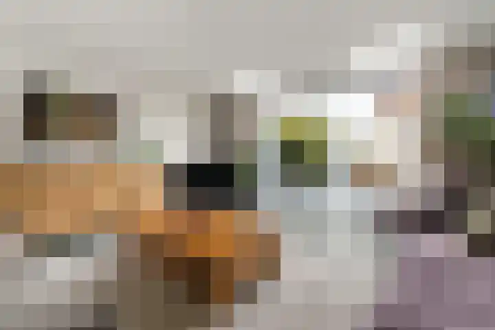 Witmos 2 Houten thumbnail 7