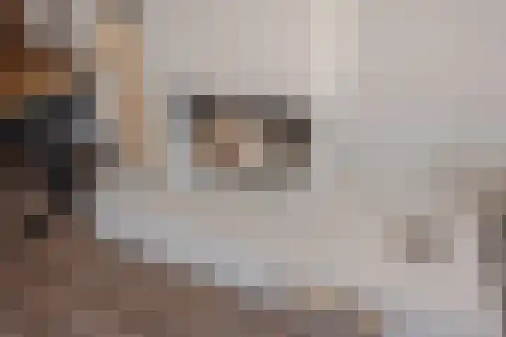 Witmos 25 Nieuwerkerk aan den IJssel thumbnail 11