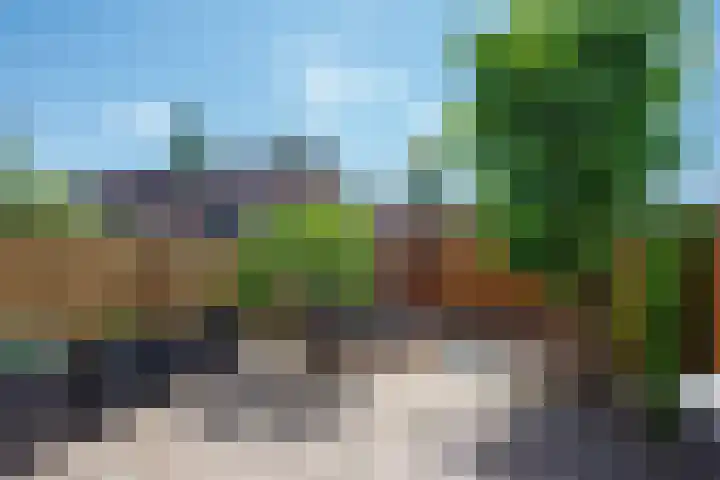 Witmos 25 Nieuwerkerk aan den IJssel thumbnail 13
