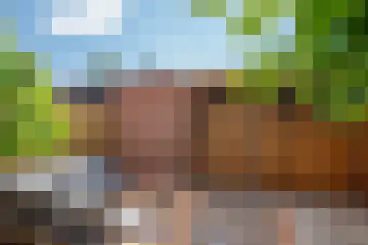 Witmos 25 Nieuwerkerk aan den IJssel thumbnail 14