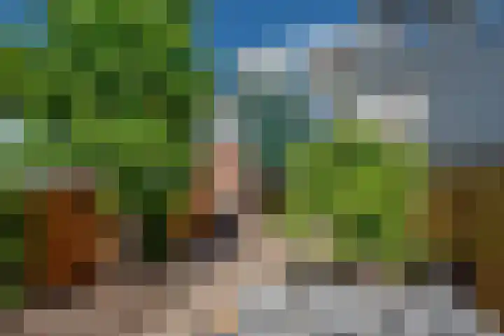 Witmos 25 Nieuwerkerk aan den IJssel thumbnail 15
