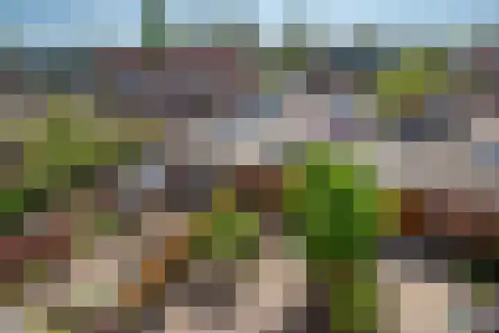 Witmos 25 Nieuwerkerk aan den IJssel thumbnail 36