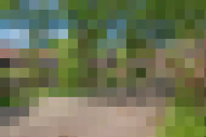 Witmos 25 Nieuwerkerk aan den IJssel thumbnail 38