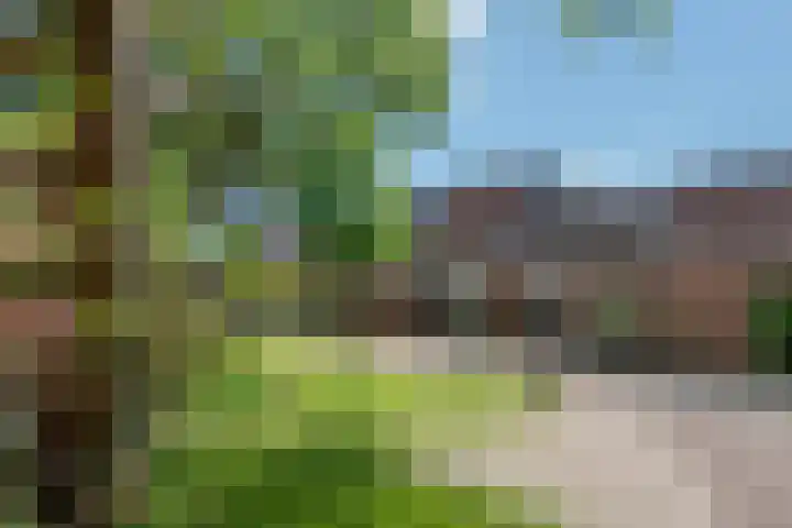 Witmos 25 Nieuwerkerk aan den IJssel thumbnail 5