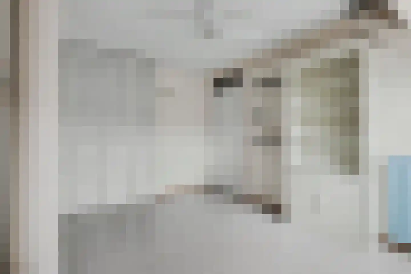 Witmos 3 Nieuwerkerk aan den IJssel thumbnail 13
